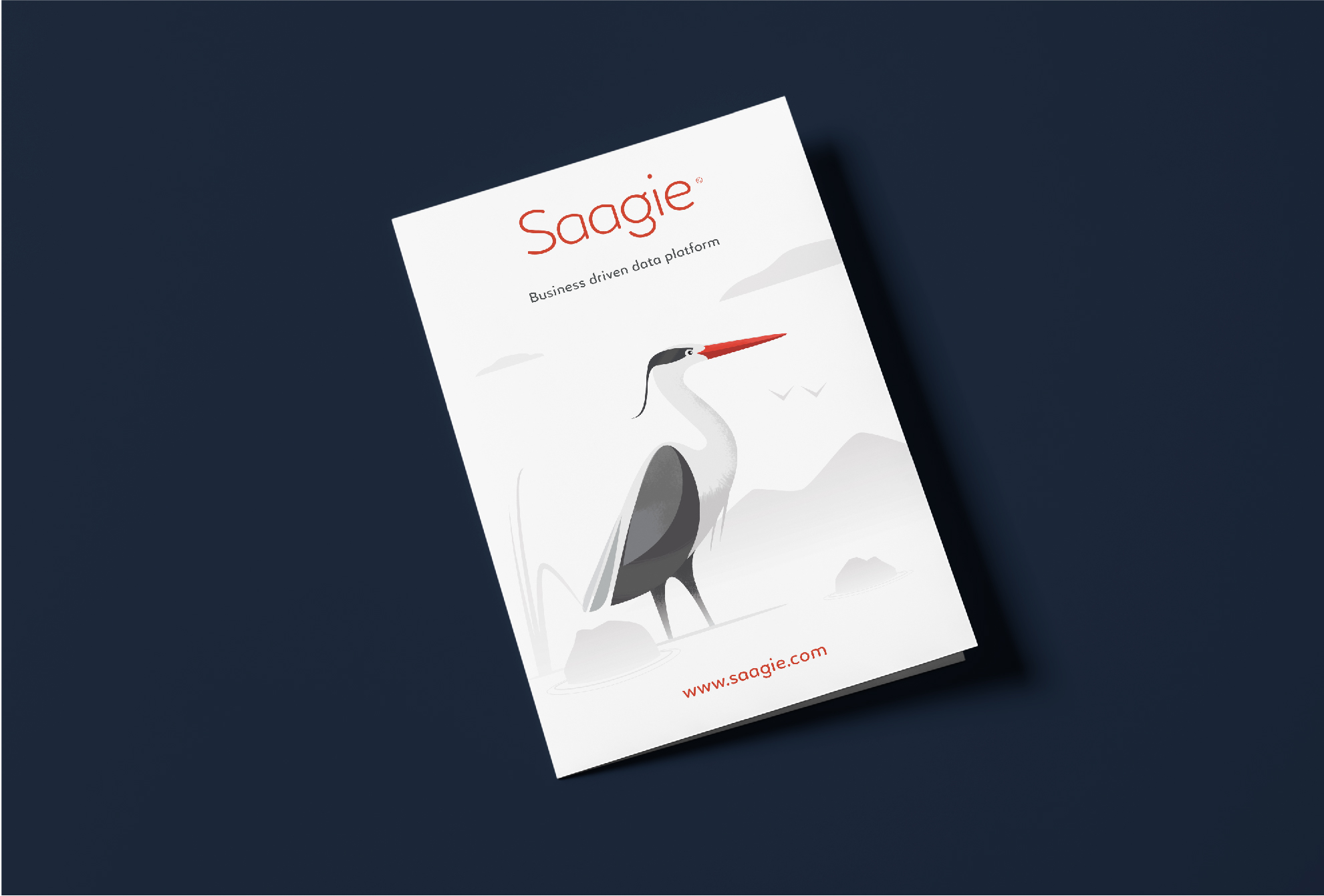 Typographie identité Saagie