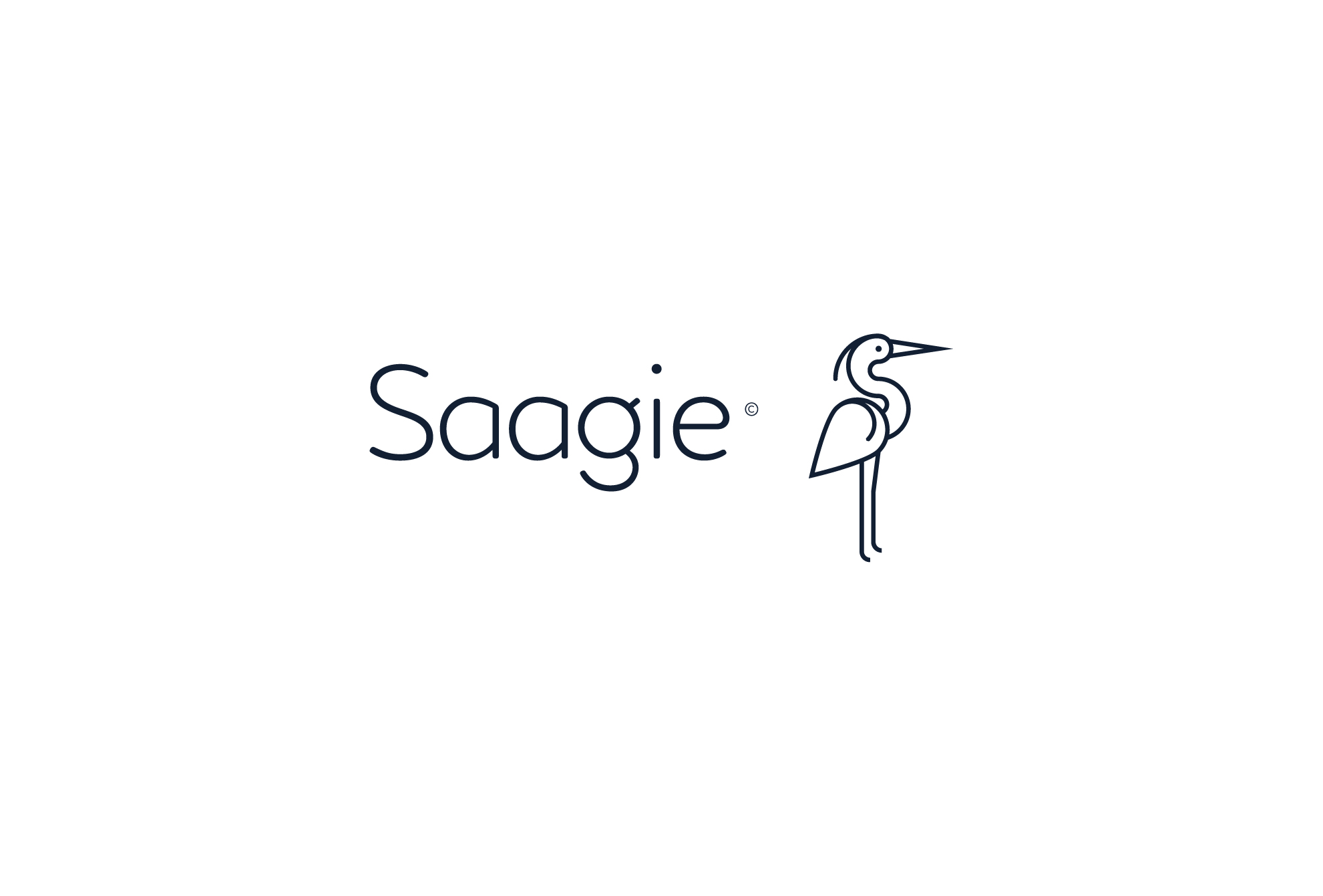 Identité visuelle Saagie - palette et logo